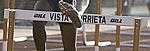 School Name on Hurdle Board (per board)